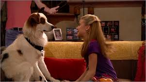 Dog loser girl