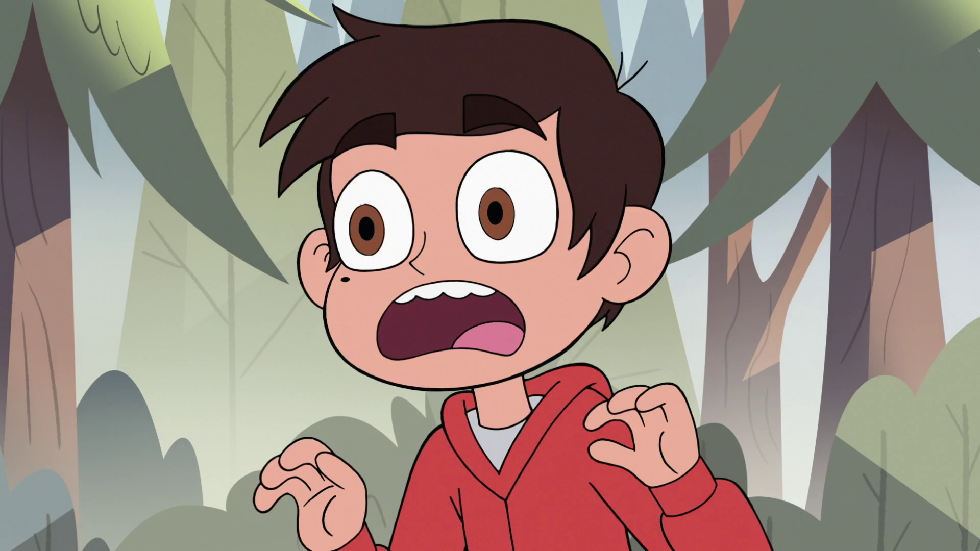 Star Vs The Forces Of Evil Marco Diaz