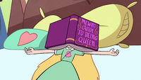 S2E3 Star under a book
