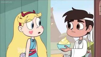 Star vs the Forces of Evil "There was a fly on it