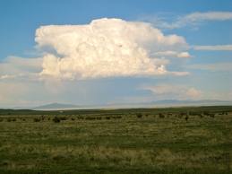 Plains