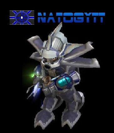 IntroNatogytt