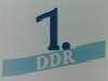 Ddr1-02