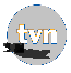 TVN (żałobne logo) (2013)