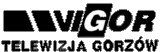 VIGOR GORZÓW