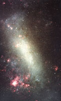 Large Magellanic