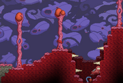 Flesh Biome