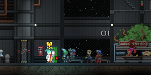 Guide Image -006