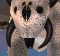 Ursadon SC1 HeadAnim1