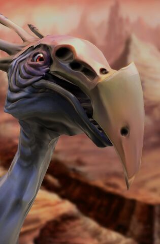 File:Urubu SC2 Head1.jpg