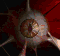 Overmind SC1 HeadAnim1