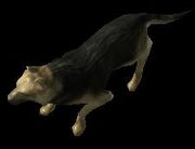 Dog SC2 Rend1