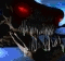 Defiler SC1 HeadAnim1