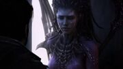 KerriganRaynor SC2-HotS CineConviction1