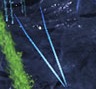 ParticleDisrupter SC2 Game1