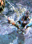 Shrieker SC2 Game1