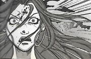BellaTerra SC-GA Head2
