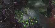 NydusNetwork SC2 Game1
