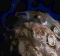 Daggoth SC1 HeadAnim1
