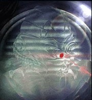 Ghost SCR Head1