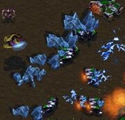 PsionicStorm SC1 Game1