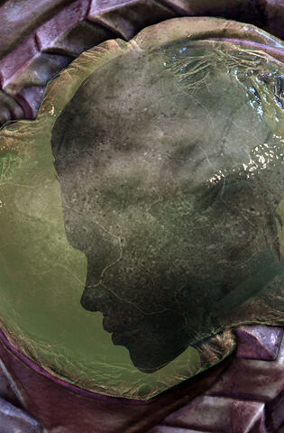 File:KerriganChrysalis SC2-HotS Head1.jpg