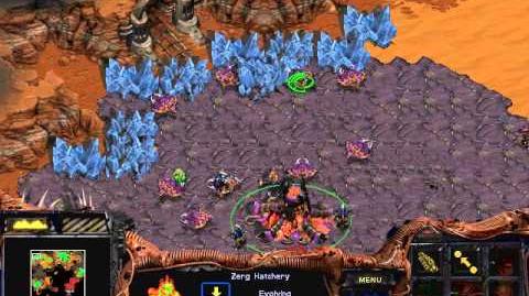 Video Starcraft Brood War Zerg Campaign Mission 5 True