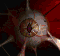 Zergeye2