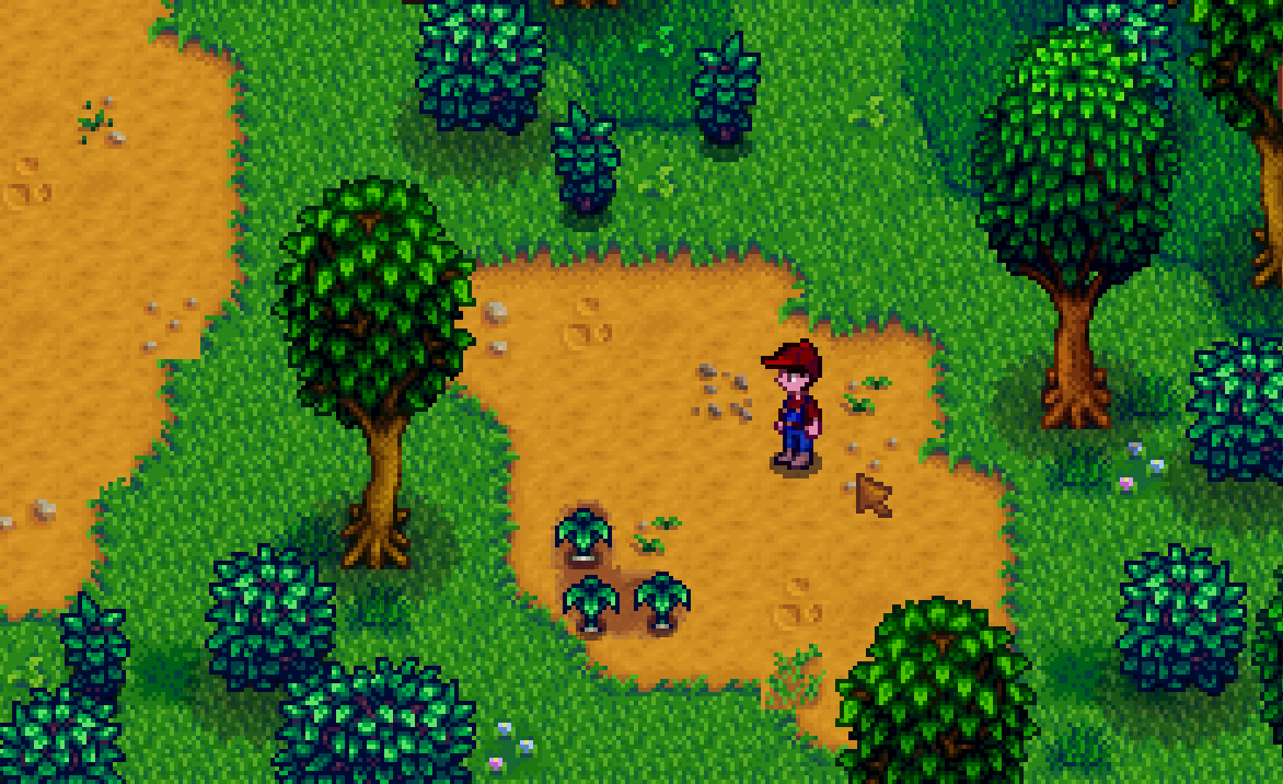 Cindersap Forest | Stardew Valley Wiki | Fandom