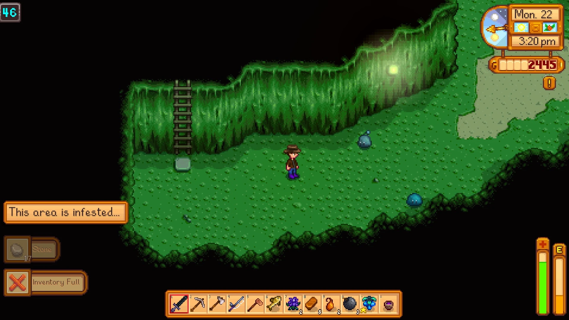 Mines Stardew Valley Wiki FANDOM powered by Wikia