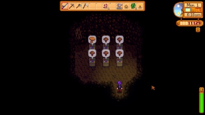 Cave Mushrooms