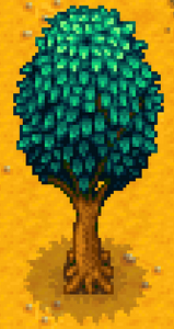 Oak Tree | Stardew Valley Wiki | Fandom