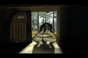 Hunter blocks exit