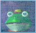 Slippy'sAdvice