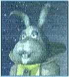 PeppyHare'sReport