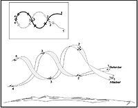 Barrel Roll Vs Aileron Roll