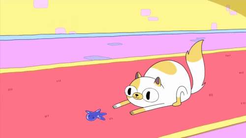 CuteCakePlaying