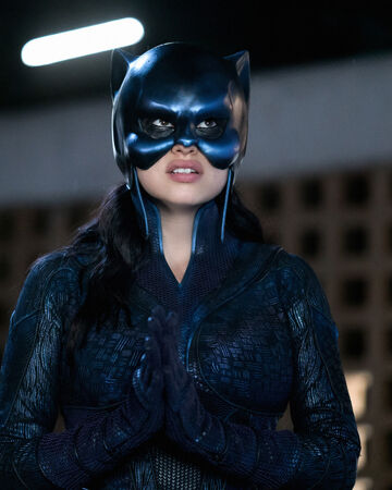 Wildcat Stargirl Wiki Fandom