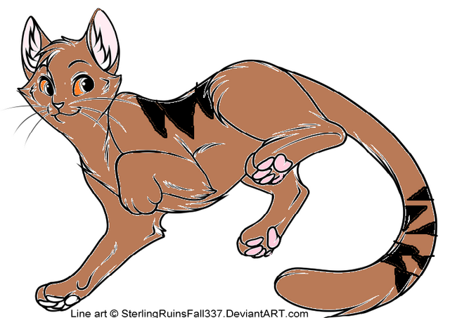 File:Tigerkit.png