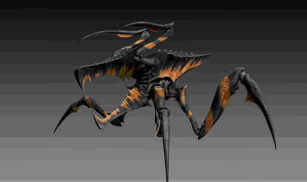Bugs Bugs