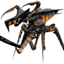 Wallpaper Warrior Bug Starship Troopers Wiki Fandom For iPhone