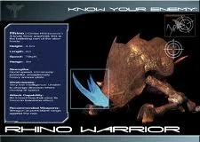 St2005-rhinobug-game-1