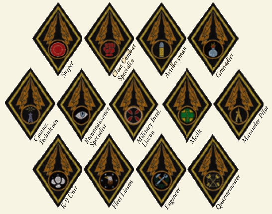 Starship Troopers Rank Structure
