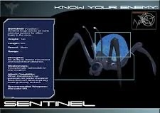 St2005-sentinelbug-game-1