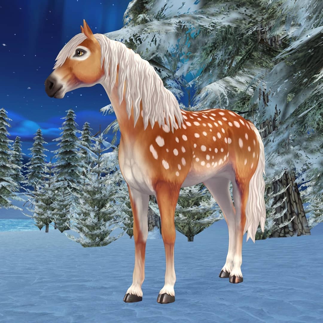 Фонси (Волшебная лошадь) | Star Stable Online вики | Fandom