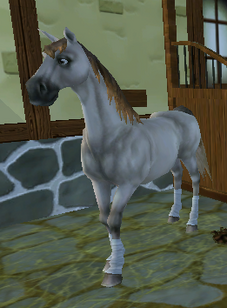 Andalusier