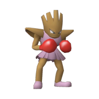 Hitmonchan Starter Squad Wikia Fandom
