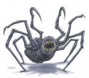 Talarian hook spider Decipher