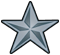 US o-7 rank pin