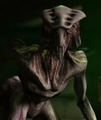Image result for star trek voyager species 8472